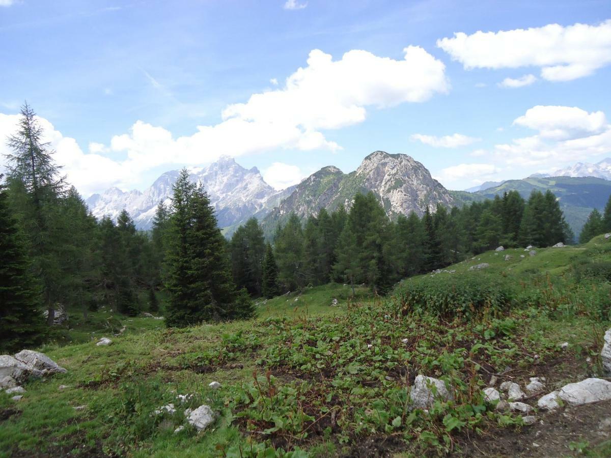 Sweet Home Cortina dʼAmpezzo Exteriör bild